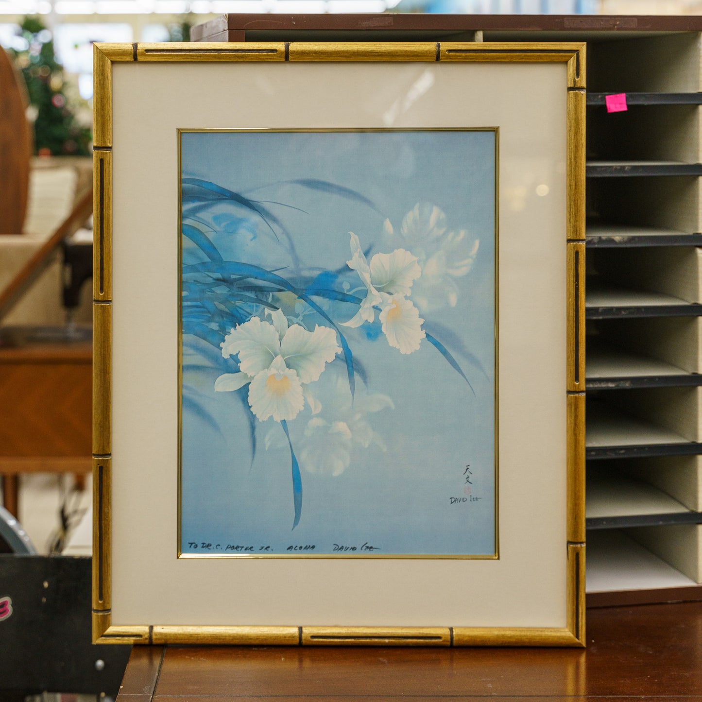 David Lee Print - White Orchids